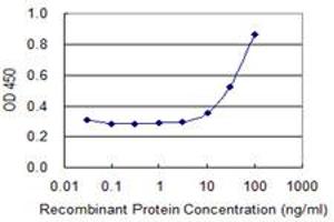 Detection limit for recombinant GST tagged ING2 is 3 ng/ml as a capture antibody. (ING2 抗体  (AA 1-280))