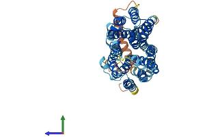 Protein Structure (PS) image for Solute Carrier Family 43, Member 3 (SLC43A3) (AA 1-491) protein (His tag) (ABIN7545950)