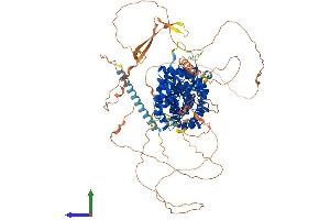Protein Structure (PS) image for Armadillo Repeat Gene Deleted in Velocardiofacial Syndrome (ARVCF) (AA 1-962) protein (His tag) (ABIN7563573)