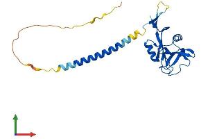 Protein Structure (PS) image for C-Type Lectin Domain Family 4, Member A (CLEC4A) (AA 1-237) protein (His tag) (ABIN7546497)