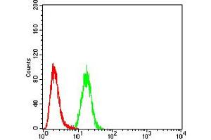 Flow Cytometry (FACS) image for anti-Calbindin 2 (CALB2) (AA 1-271) antibody (ABIN5884325) (Calretinin 抗体  (AA 1-271))