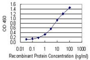 Detection limit for recombinant GST tagged GLI1 is 0. (GLI1 抗体  (AA 401-500))
