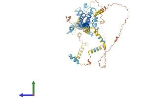 AlphaFold protein structure predicition of Human Recombinant FAM227A Protein, UniprotID F5H4B4