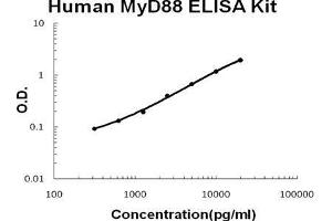 Human MyD88 PicoKine ELISA Kit standard curve (MYD88 ELISA 试剂盒)