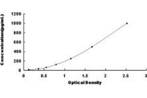 Typical standard curve