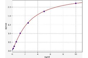 Typical standard curve (IL17 Receptor B ELISA 试剂盒)
