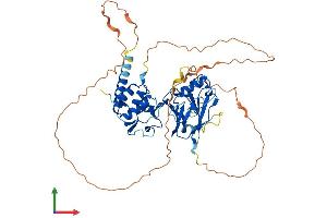 Protein Structure (PS) image for SMAD, Mothers Against DPP Homolog 6 (SMAD6) (AA 1-495) protein (His tag) (ABIN7562279)