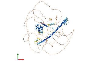 Protein Structure (PS) image for BTB and CNC Homology 1, Basic Leucine Zipper Transcription Factor 2 (BACH2) (AA 1-841) protein (His tag) (ABIN7552569)