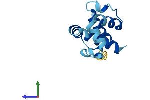 Protein Structure (PS) image for Cornifelin (CNFN) (AA 1-111) protein (His tag) (ABIN7558039)