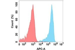 Flow Cytometry (FACS) image for anti-Killer Cell Lectin-Like Receptor Subfamily G, Member 1 (KLRG1) (AA 60-195) antibody (ABIN7092982)