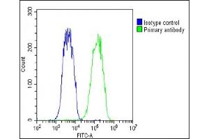 Overlay histogram showing Hela cells stained with (ABIN1537893 and ABIN2848739)(green line). (VDAC3 抗体  (AA 156-183))