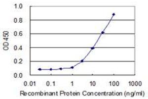 Detection limit for recombinant GST tagged WDR41 is 1 ng/ml as a capture antibody. (WDR41 抗体  (AA 1-459))