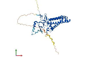 Protein Structure (PS) image for Zinc Finger, DHHC-Type Containing 9 (ZDHHC9) (AA 1-364) protein (His tag) (ABIN7545625)