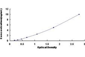 Typical standard curve (IL18R1 ELISA 试剂盒)