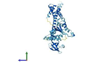 Protein Structure (PS) image for Proteasome (Prosome, Macropain) 26S Subunit, ATPase, 6 (PSMC6) (AA 1-389) protein (His tag) (ABIN7551040)