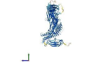 AlphaFold protein structure predicition of Mouse Recombinant Trappc11 Protein, UniprotID B2RXC1