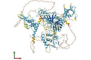Protein Structure (PS) image for Corin, Serine Peptidase (CORIN) (AA 1-1113) protein (His tag) (ABIN7565308)