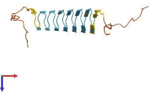 AlphaFold protein structure predicition of Human Recombinant KRTAP4-3 Protein, UniprotID Q9BYR4