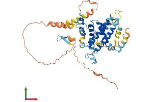 Protein Structure (PS) image for Protein Phosphatase 1, Regulatory Subunit 36 (PPP1R36) (AA 1-411) protein (His tag) (ABIN7562099)