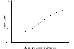 Typical Standard Curve