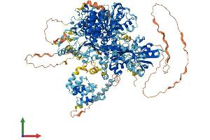 AlphaFold protein structure predicition of Human Recombinant YTHDC2 Protein, UniprotID Q9H6S0 (YTHDC2 Protein (AA 1-1430) (His tag))