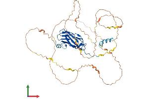 Protein Structure (PS) image for Runt-Related Transcription Factor 1 (RUNX1) (AA 1-453) protein (His tag) (ABIN7555307)