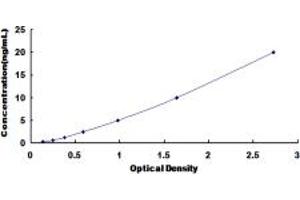 Typical standard curve (GRIN2C ELISA 试剂盒)