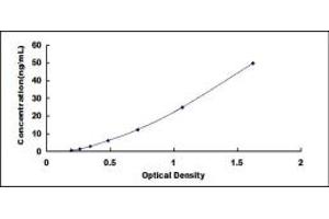 Typical standard curve (SLC5A2 ELISA 试剂盒)