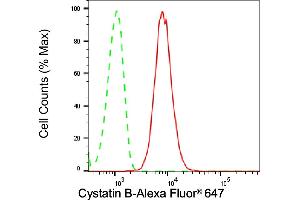 Flow cytometric analysis of Cystatin B expression in H9c2 cells using Cystatin B antibody (ABIN7798237), 1:2,000). (Recombinant CSTB 抗体)