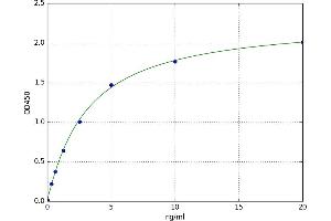 A typical standard curve (HSPBP1 ELISA 试剂盒)