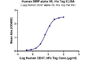Immobilized Human SIRP alpha V6, His Tag at 2 μg/mL (100 μL/Well).