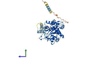 Protein Structure (PS) image for ST8 alpha-N-Acetyl-Neuraminide alpha-2,8-Sialyltransferase 6 (ST8SIA6) (AA 1-398) protein (His tag) (ABIN7559583)