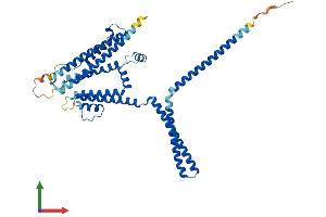 Protein Structure (PS) image for Potassium Intermediate/small Conductance Calcium-Activated Channel, Subfamily N, Member 4 (KCNN4) (AA 1-425) protein (His tag) (ABIN7562714)