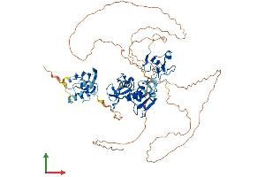 Protein Structure (PS) image for Zinc Finger, SWIM-Type Containing 2 (ZSWIM2) (AA 1-633) protein (His tag) (ABIN7545510)
