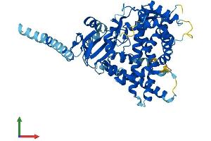 Protein Structure (PS) image for Cytochrome P450, Family 26, Subfamily A, Polypeptide 1 (CYP26A1) (AA 1-497) protein (His tag) (ABIN7562487)