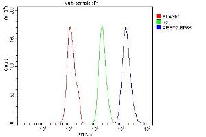 Flow Cytometry analysis of SiHa cells using anti-AEBP2 antibody (ABIN4886435). (AEBP2 抗体  (AA 424-517))
