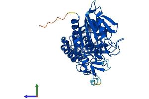 Protein Structure (PS) image for Acyl-CoA Thioesterase 6 (ACOT6) (AA 1-419) protein (His tag) (ABIN7557028)
