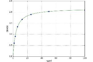 KISS1 Receptor (KISS1R) ELISA Kit