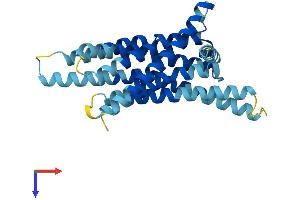AlphaFold protein structure predicition of Human Recombinant TAS2R45 Protein, UniprotID P59539