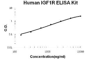 Human IGF1R PicoKine ELISA Kit standard curve (IGF1R ELISA 试剂盒)