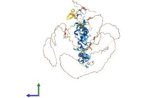 Protein Structure (PS) image for Actin Binding LIM Protein Family, Member 3 (ABLIM3) (AA 1-682) protein (His tag) (ABIN7557896)