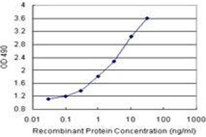Sandwich ELISA detection sensitivity ranging from 0. (FGF21 (人) Matched Antibody Pair)