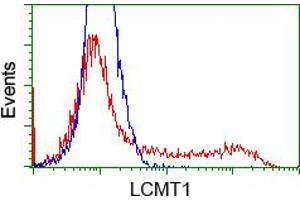 HEK293T cells transfected with either RC200018 overexpress plasmid (Red) or empty vector control plasmid (Blue) were immunostained by anti-LCMT1 antibody (ABIN2454741), and then analyzed by flow cytometry. (LCMT1 抗体)
