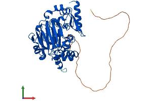 AlphaFold protein structure predicition of Mouse Recombinant Jmjd6 Protein, UniprotID Q9ERI5