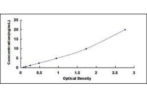 Typical standard curve (TGOLN2 ELISA 试剂盒)