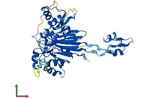 Protein Structure (PS) image for ELAC1 (ELAC1) (AA 1-362) protein (His tag) (ABIN7559900)