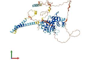AlphaFold protein structure predicition of Human Recombinant TMEM209 Protein, UniprotID Q96SK2 (TMEM209 Protein (AA 1-561) (His tag))