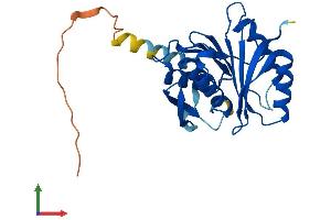 Protein Structure (PS) image for Methyltransferase Like 21C (METTL21C) (AA 1-248) protein (His tag) (ABIN7558747)
