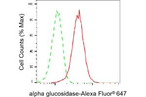 Flow cytometric analysis of alpha glucosidase expression in HepG2 cells using alpha glucosidase antibody (ABIN7797585), 1:2,000). (Recombinant AGLU 抗体)