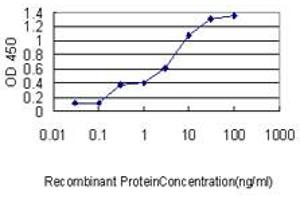 ELISA image for anti-Mitochondrial Ribosomal Protein L12 (MRPL12) (AA 1-199) antibody (ABIN598585) (MRPL12 抗体  (AA 1-199))